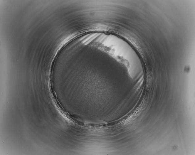 X0000098170850200805080959