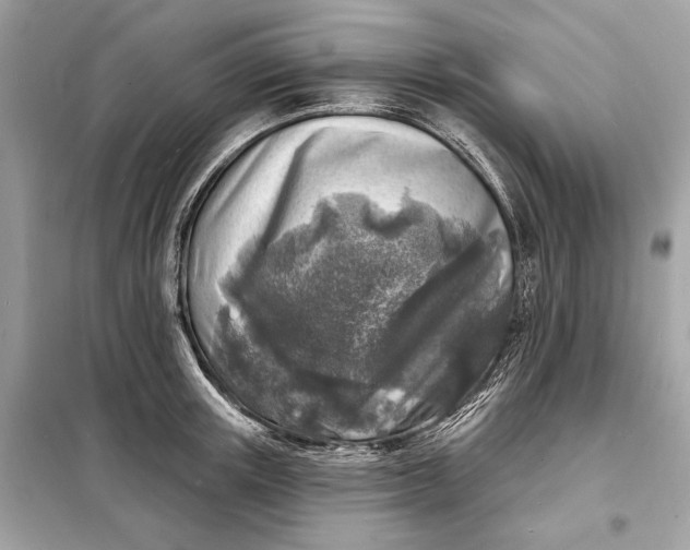 X0000098170851200805080959