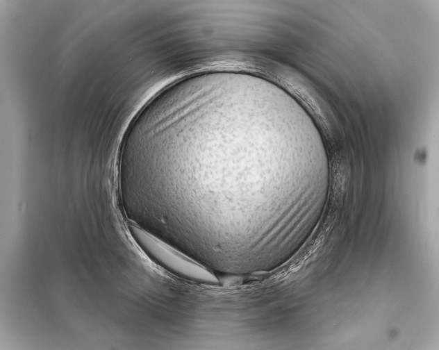 X0000098170852200805080959