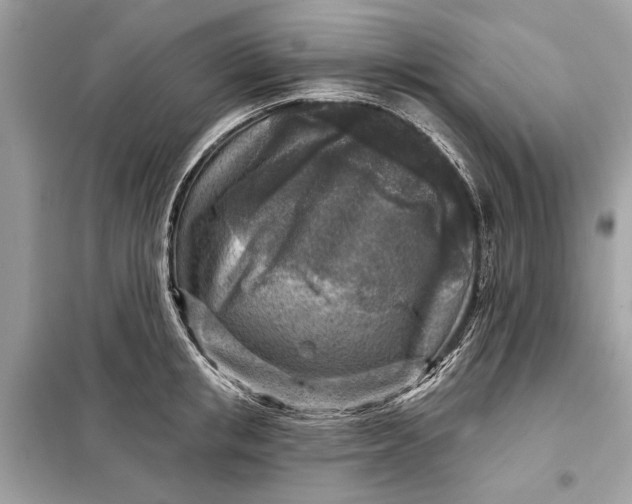 X0000098170853200805080959