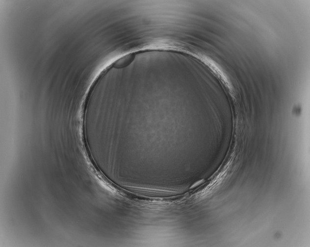 X0000098170854200805080959