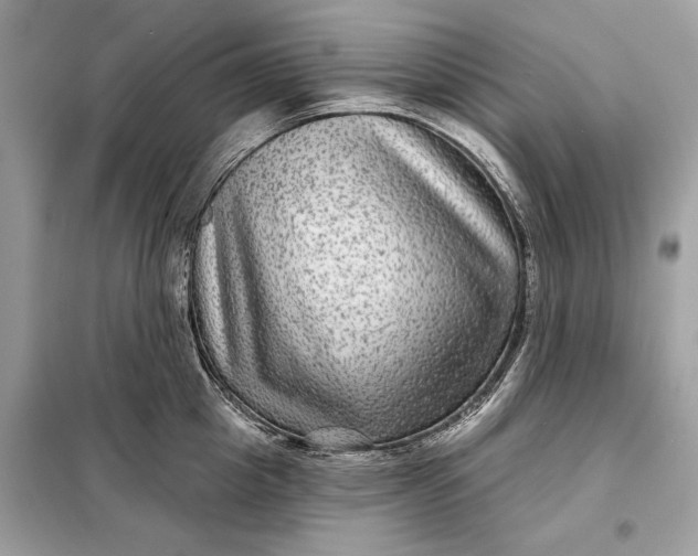 X0000098170857200805080959