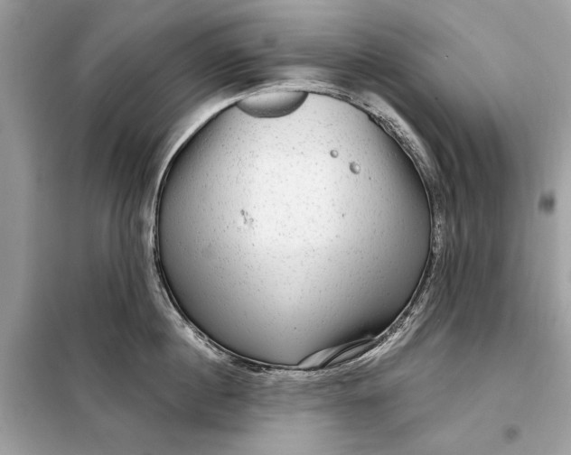 X0000098170860200805080959