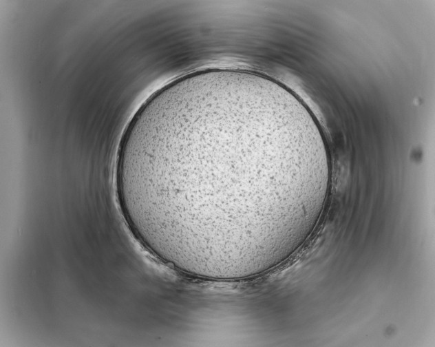 X0000098170861200805080959