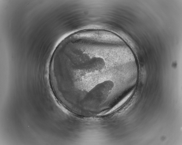 X0000098170862200805080959