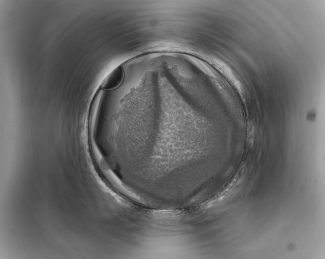 X0000098170863200805080959