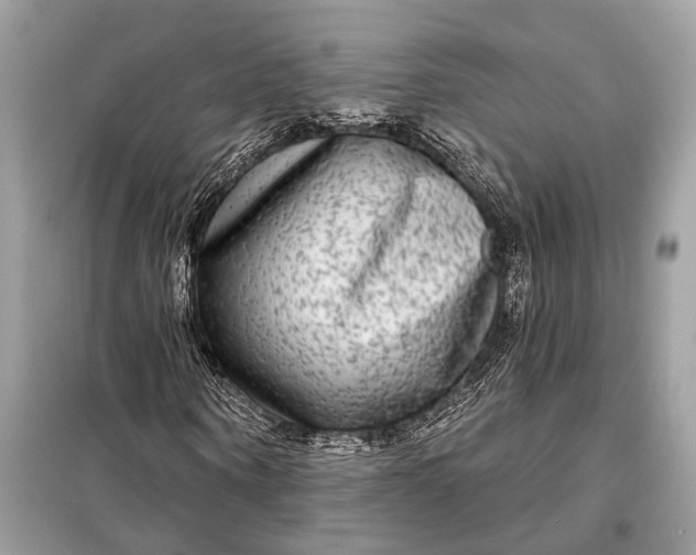 X0000098170866200805080959