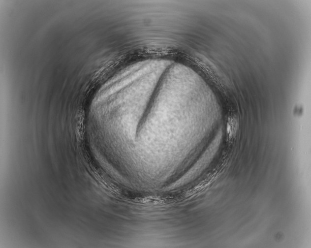 X0000098170867200805080959