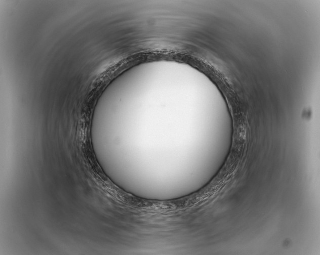 X0000098170869200805080959