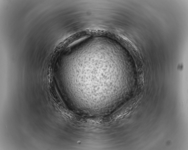 X0000098170870200805080959