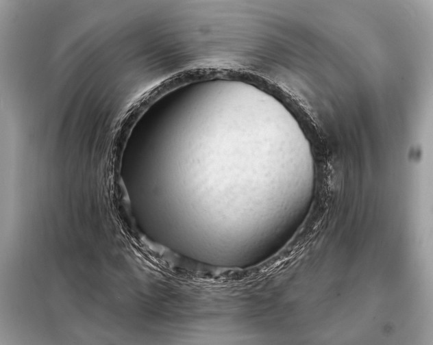 X0000098170872200805080959