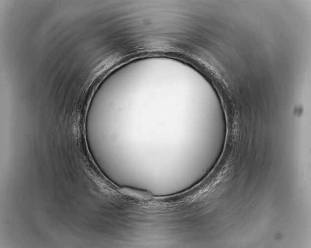 X0000098170873200805080959