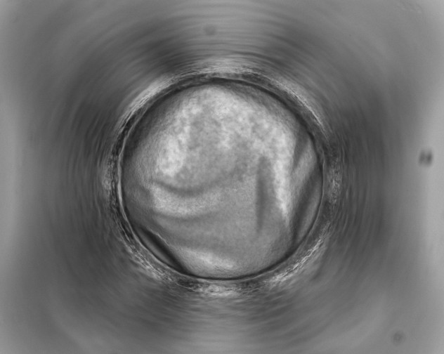 X0000098170874200805080959