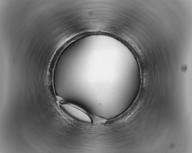 X0000098170876200805080959