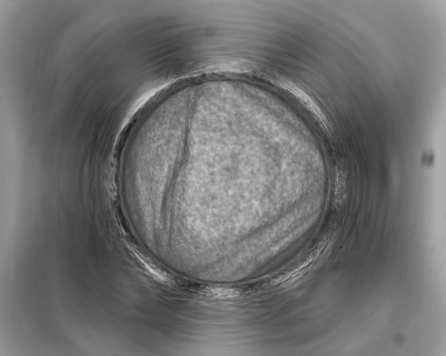 X0000098170878200805080959