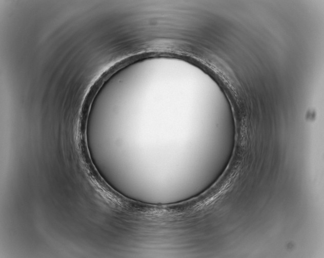 X0000098170880200805080959