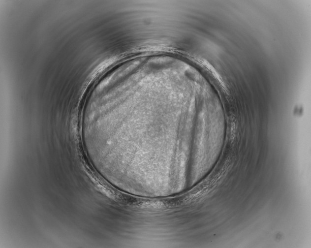 X0000098170882200805080959