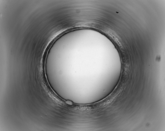 X0000098170884200805080958