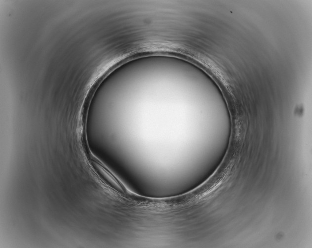 X0000098170885200805080958