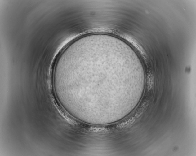 X0000098170886200805080958