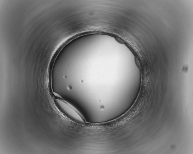 X0000098170888200805080958