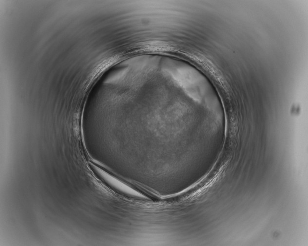 X0000098170889200805080958