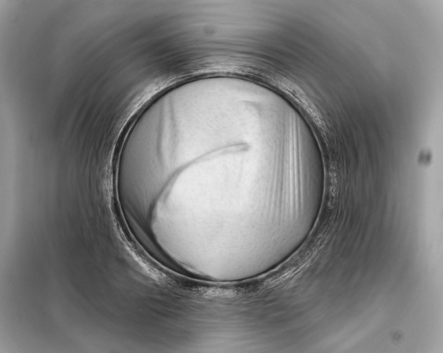 X0000098170890200805080958