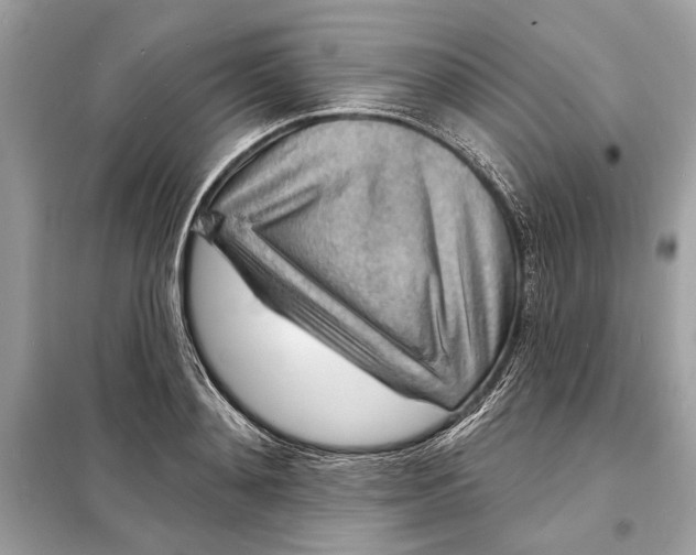 X0000098170892200805080958