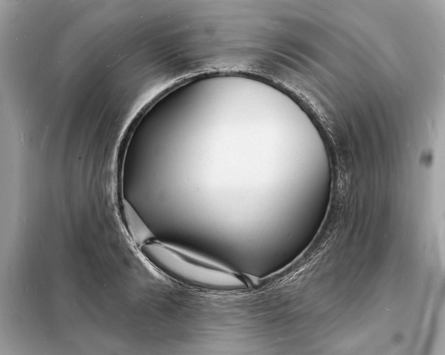 X0000098170894200805080958