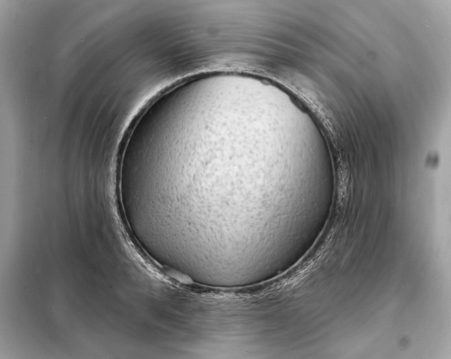 X0000098170896200805080958