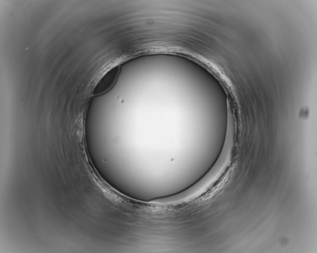 X0000098170897200805080958