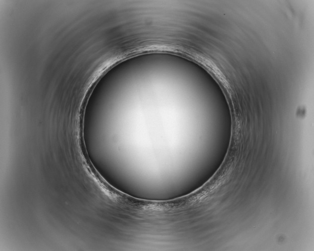 X0000098170898200805080958