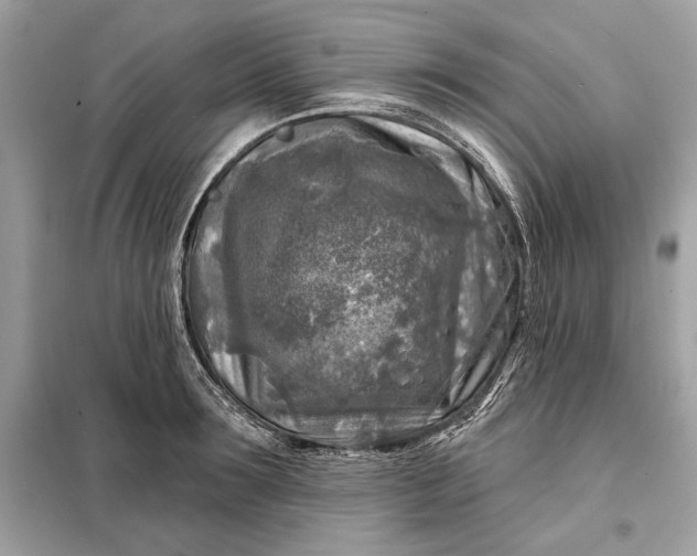 X0000098170899200805080958