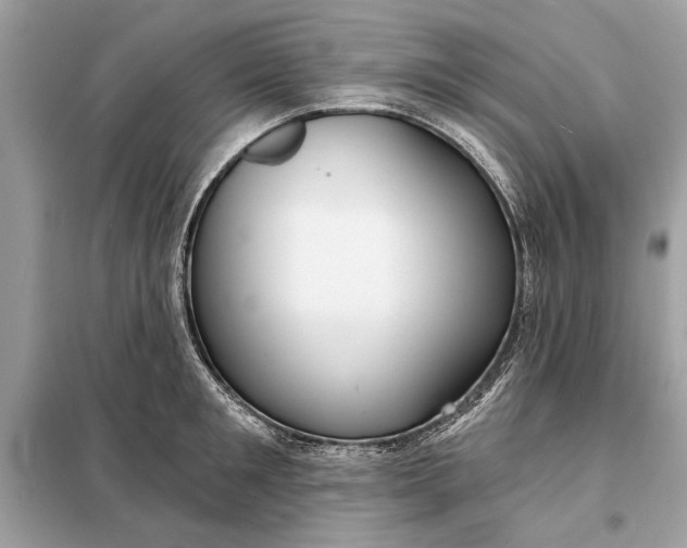 X0000098170901200805080958