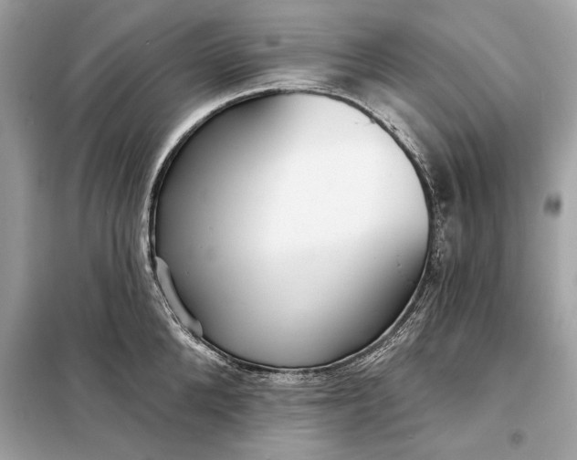 X0000098170904200805080958