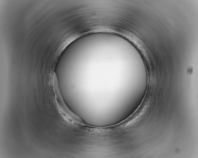 X0000098170905200805080958