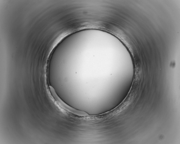 X0000098170906200805080958