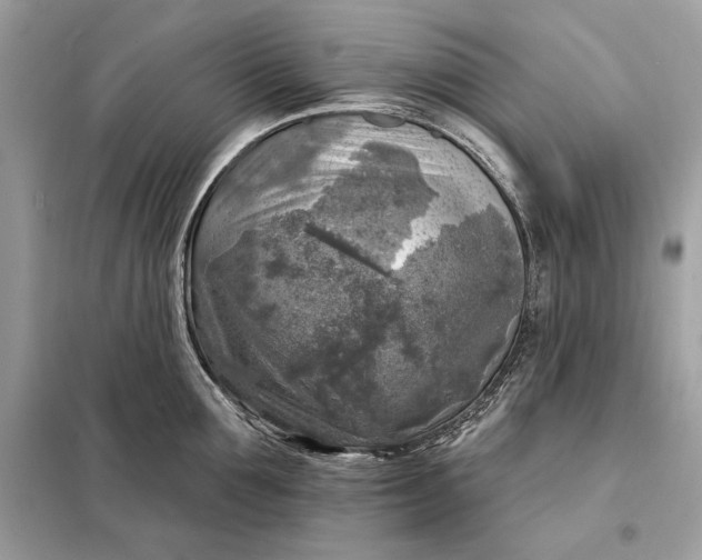 X0000098170907200805080958