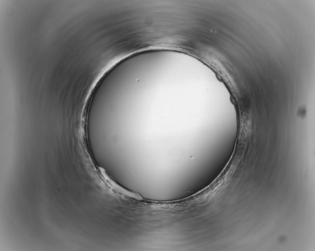 X0000098170908200805080958