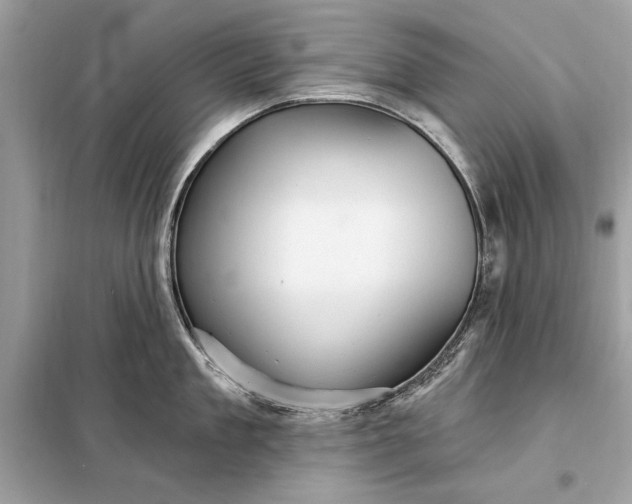 X0000098170909200805080958