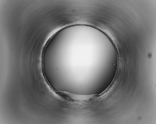 X0000098170910200805080958