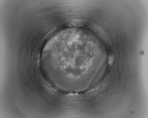 X0000098170915200805080957