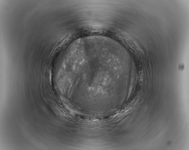 X0000098170916200805080957