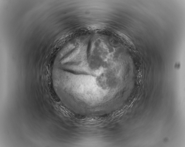 X0000098170917200805080957