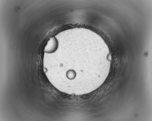 X0000098170918200805080958