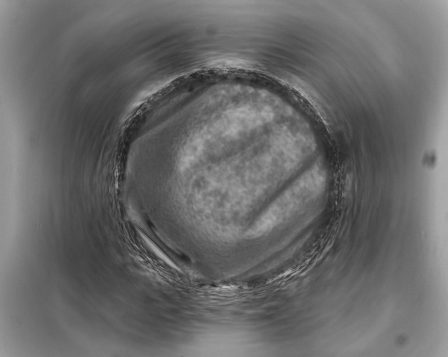 X0000098170919200805080958