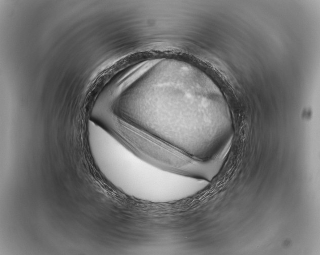 X0000098170920200805080958