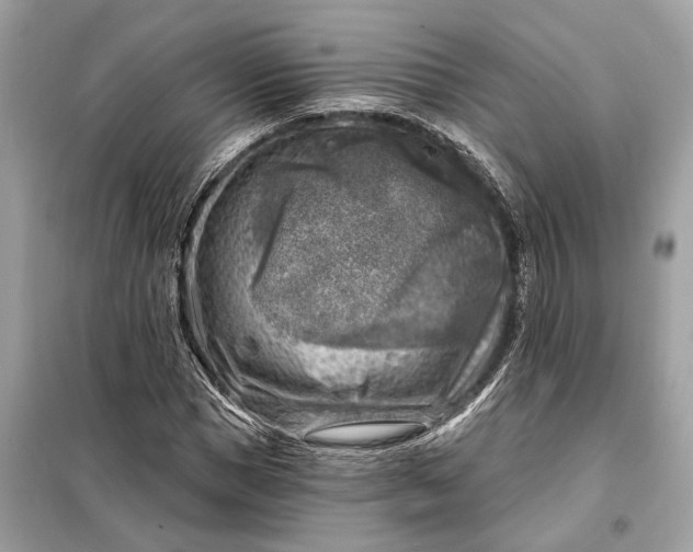 X0000098170921200805080958