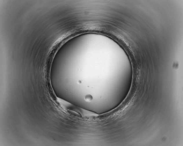 X0000098170922200805080958