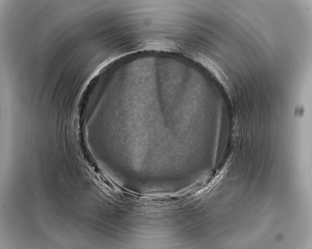 X0000098170923200805080958